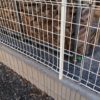 境界フェンスを実家が独断で発注。そして僕は途方に暮れる。
