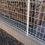 境界フェンスを実家が独断で発注。そして僕は途方に暮れる。
