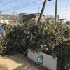 堆肥作り進捗状況