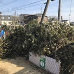 堆肥作り進捗状況
