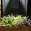 ウッドプランター植物の植え方