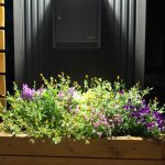 ウッドプランター植物の植え方