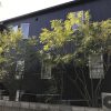 裏庭シマトネリコ2012~2017成長比較と成長速度について