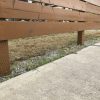 芝生は砂利でも普通に育つ第二弾