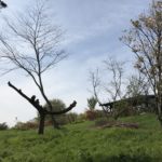 【栃木】いわむらかずお絵本の丘美術館へ行ってきました|なかがわ水遊園で泳ぐカピバラも