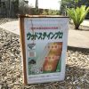 キシラデコール・ウッドステインプロ比較