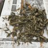 【家庭菜園】金ゴマの収穫~タネ取り出し編~