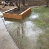 暗渠排水工事後まとまった雨が降ったので効果を確認しました