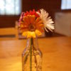 メネデールで一輪差しが一週間以上持続|メネデール芝肥料との使い分けについても問い合わせてみた