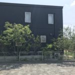 境界フェンス沿いのオリーブ・シマトネリコを剪定しました