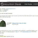 【個人輸入】mountainsteals.comでパタゴニアのナノエアを買ったところキャンセル扱いになった件