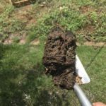芝のサッチを散水ノズルのストレートモードで除去したらめちゃめちゃ取れた件
