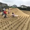 【堆肥】実家からもみ殻と米ぬかをもらった件