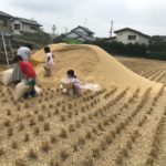 【堆肥】実家からもみ殻と米ぬかをもらった件