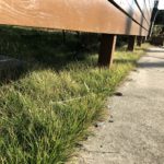 【芝生】砂利だったウッドフェンス下でターフ形成中