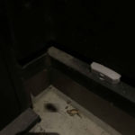 【ワンダーデバイス】ブラックキャップ屋外用、効果あり