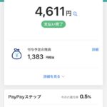 paypayがんばれまちのお店CPでガソリン、パタゴニア、アークテリクス、ADA、薬代等が30%戻ってくる